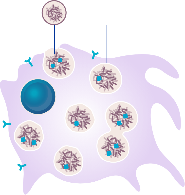 Diseased cell
